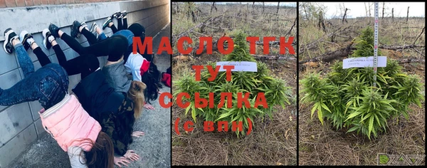 прущие грибы Майский