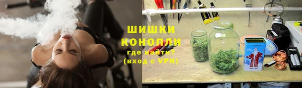 прущие грибы Майский