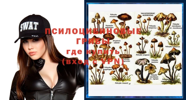 mix Магас