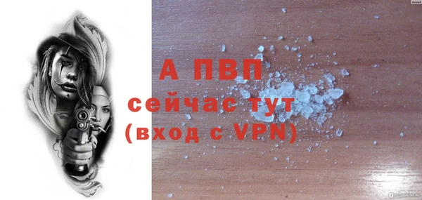 прущие грибы Майский
