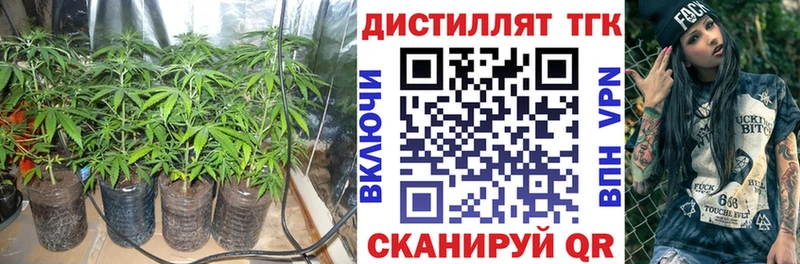 кракен tor  Шенкурск  Дистиллят ТГК концентрат 